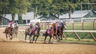 競馬の予想イメージ